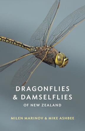 Dragonflies and Damselflies of New Zealand cover
