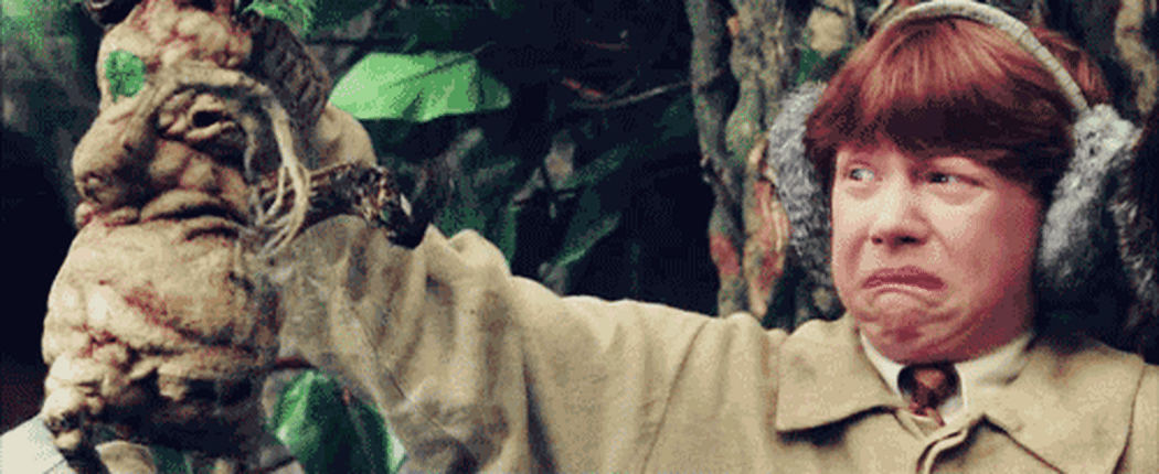 A gif of Ron Weasley from Harry Potter pulling a plant from a pot.