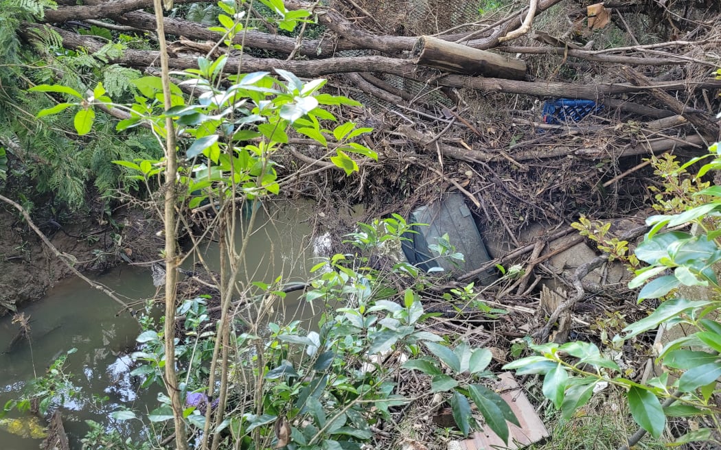 Healthy Waters says the section of Swanson Stream behind Joe Young's house had had regular maintenance.