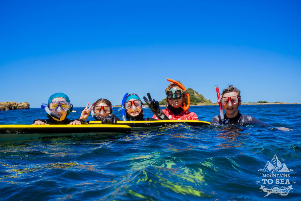 A group of snorkelers with their guide at Taputeranga Marine Reserve. They are floating at the surface holding on to some body boards.