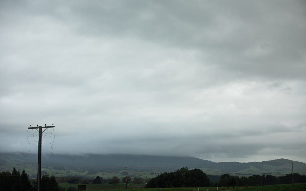 Cut off power lines just outside Otorohanga