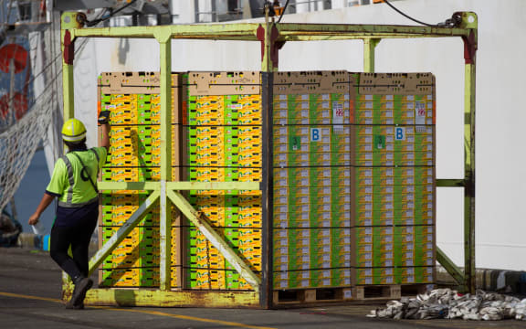 Zespri Kiwifruit is loaded onto the Atlantic Erica at the Port of Tauranga.