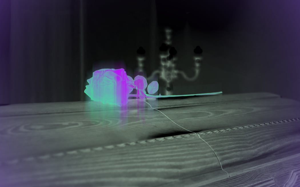 A rose sits on top of a coffin, it is coloured to symbolise toxic chemicals