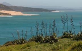Hokianga harbour