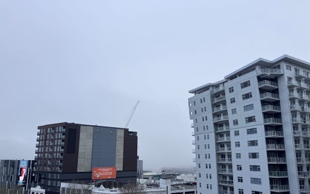 Fog prompts delays, cancels flights at Auckland Airport | RNZ