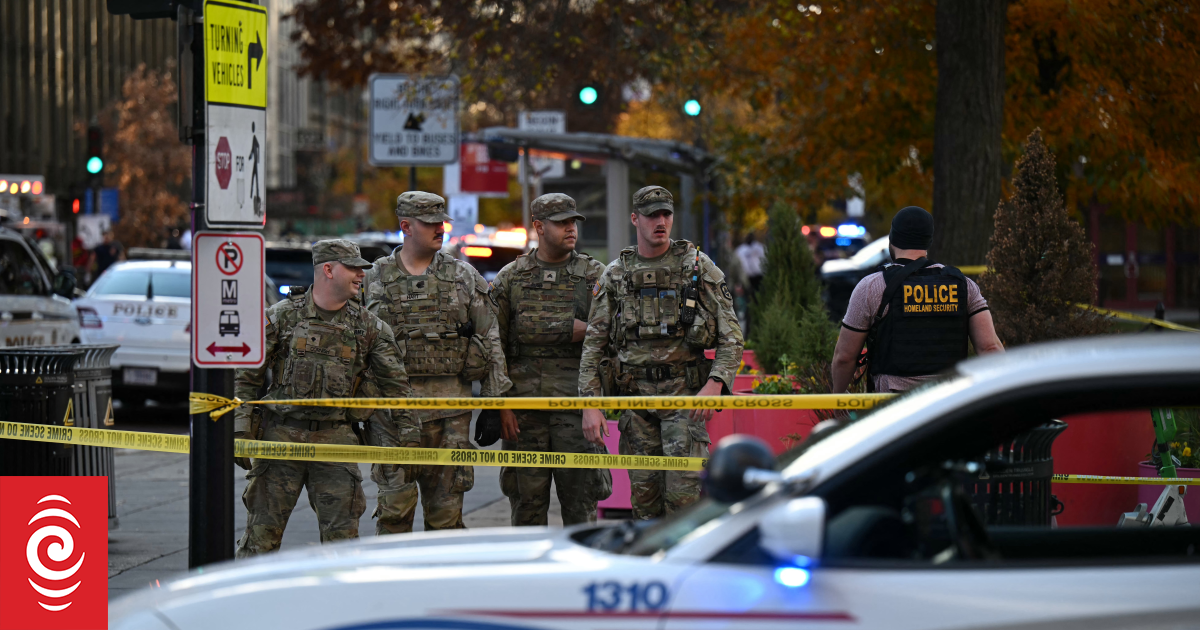 US National Guard member dies after Washington shooting
