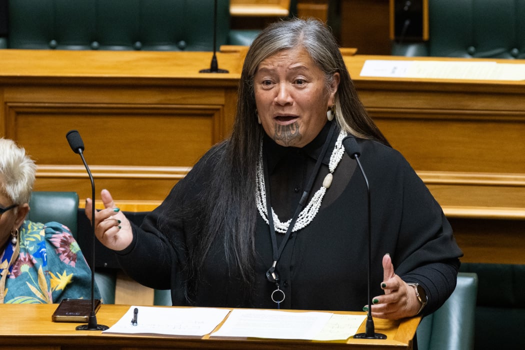 Te Pāti Māori MP, Mariameno Kapa-Kingi speaking in the House.