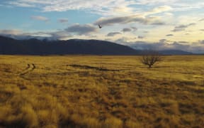 The Mackenzie basin.