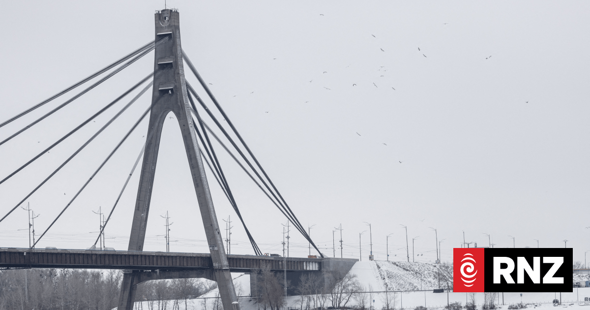 Russia pauses airstrikes on Kyiv at Trump's request