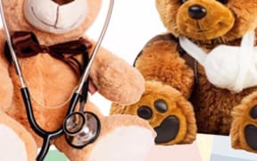 Teddy Bear health check up