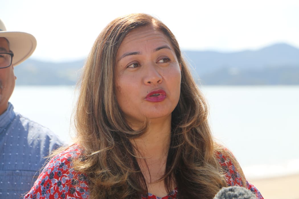 Marama Davidson