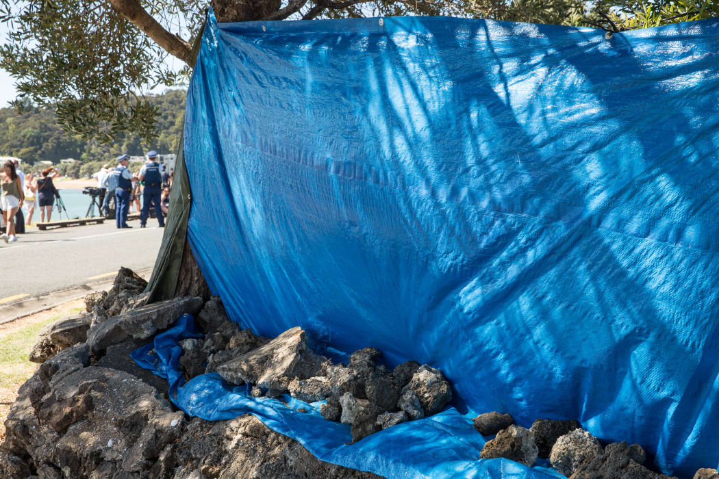 A tarpaulin erected to prevent media from filming proceedings on Te Tii Marae.
