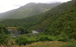 The Ōtaki River at the Ōtaki Forks area, which has been partly cut off since 2020.