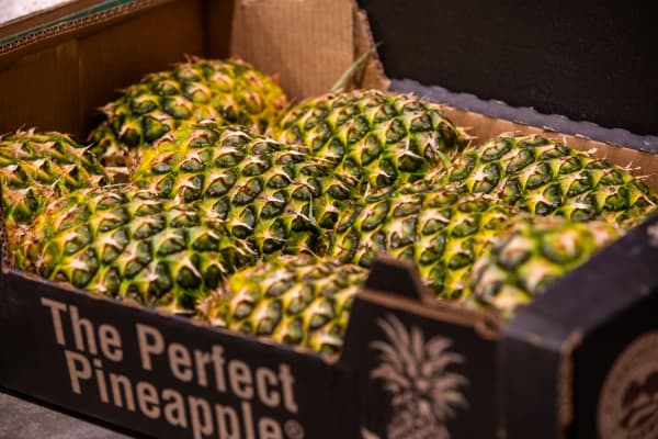 Imported pineapples in a box being sold in Auckland.