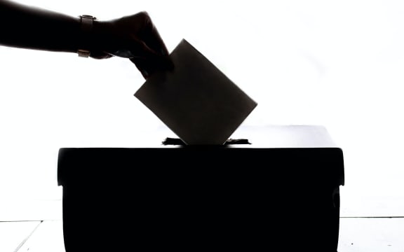 a person voting