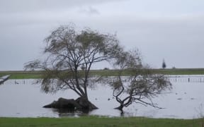 Wairoa farmland is flooded after ex-cyclone Filli hit