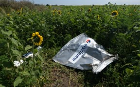 2468183 Ukraine, Rassypnoe. 07/25/2014 The breakage of the aircraft forebody, at the crush site of the Malaysian Airlines Boeing 777, outside the village of Rassypnoye, near Shakhtyorsk, Donetsk Region. Mikhail Voskresenskiy/Sputnik