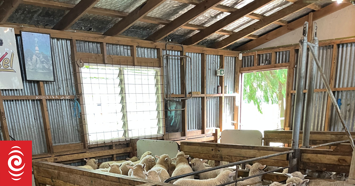 Country Life: Cornwall Park, the farm in the heart of a city