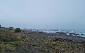 Goose Bay near Kaikōura.