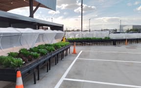 Hancocks fruit and veg pods