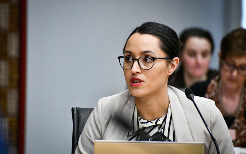 Tania Tapsell has asked some serious questions of the Government over our emergency housing “progress”. Photo / Laura Smith