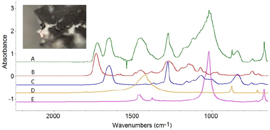 The peaks in a sample of white pigment from Ralph Hotere's 'Black Painting' (green line) are matched to other known substances.