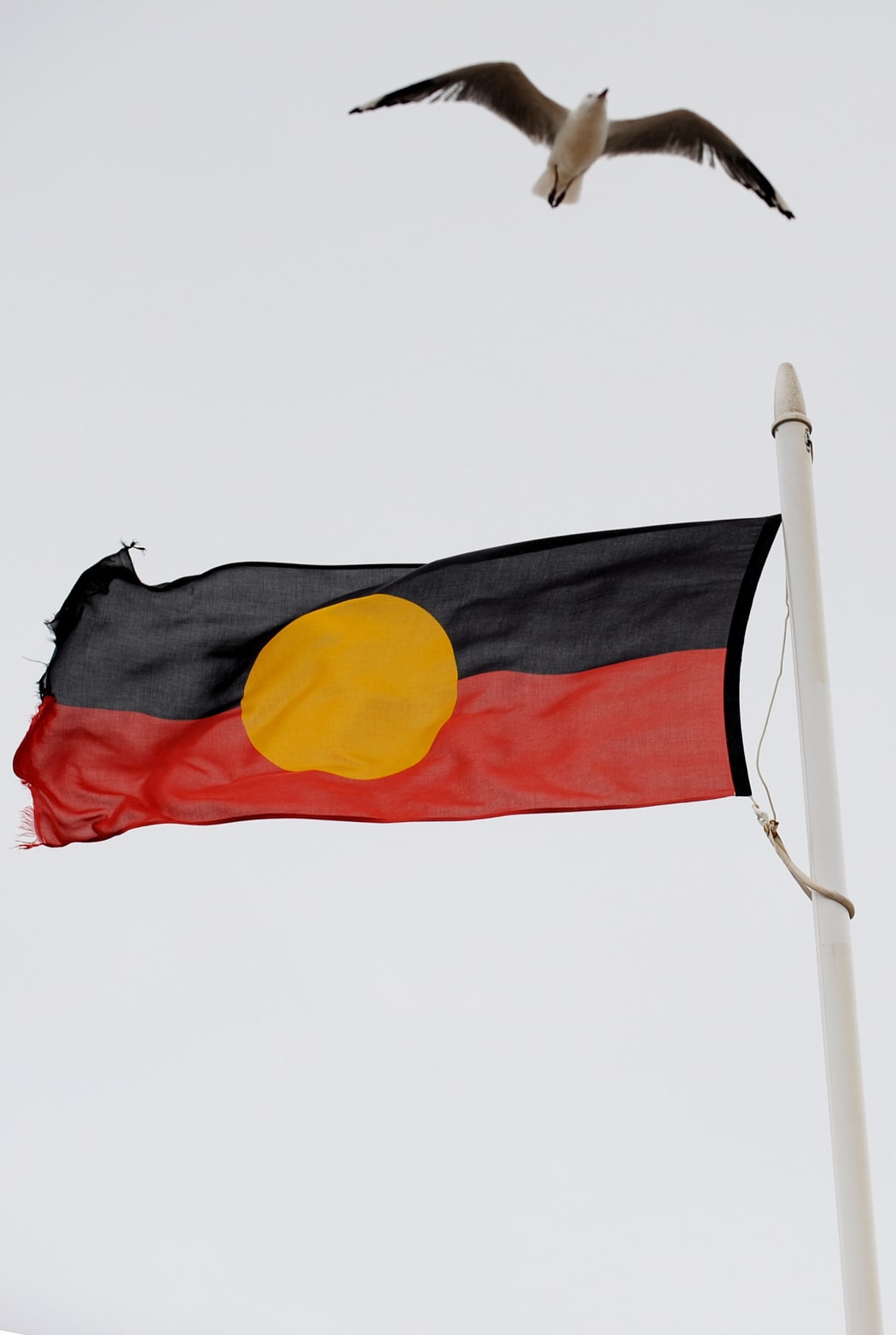The Aboriginal flag.