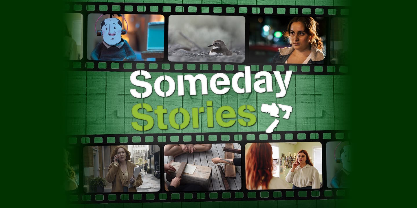 Graphic for Someday Stories 4 (2020)
