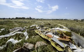 A picture shows debris at the crash site of the Malaysia Airlines Flight MH17 near the village of Hrabove, Ukraine.
