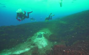 Three divers in blue-green water above a rocky seafloor, with a bare patch between the rocks coated in white. A mat has been placed on the white patch.