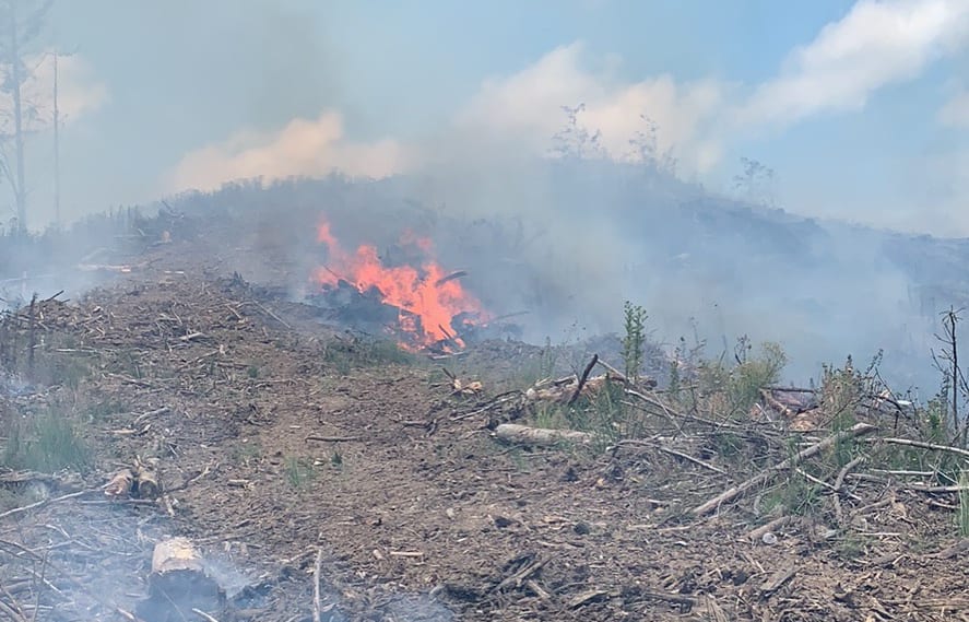Fire and Emergency crews battle scrub fires in Northland.