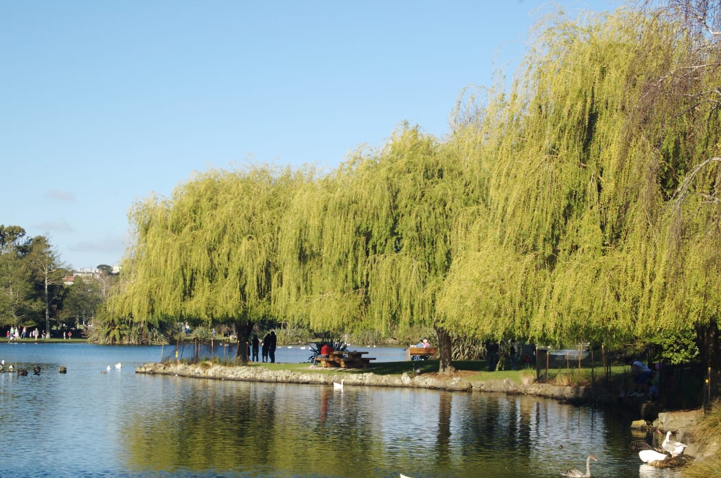 Western Springs