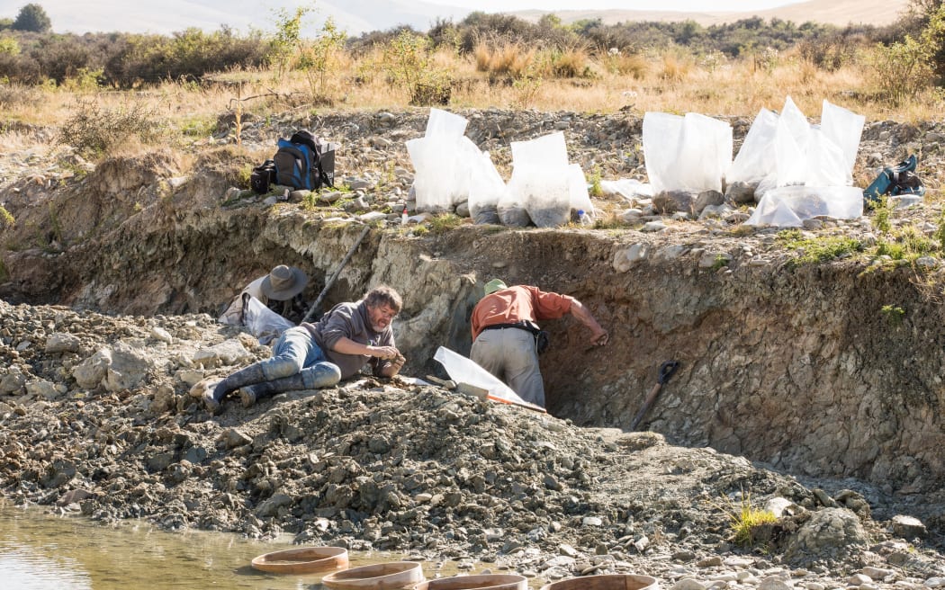 Paleontologists working at the St Bathans dig site