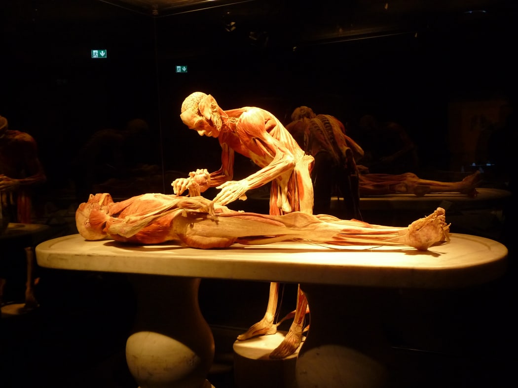 Body Worlds exhibition