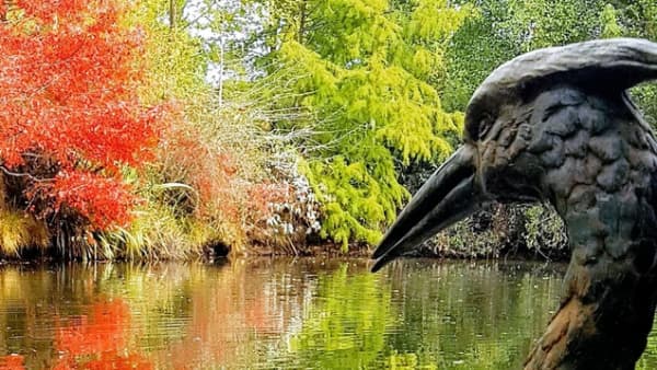 A pond left behind by the quarrying is now a beautiful oasis.