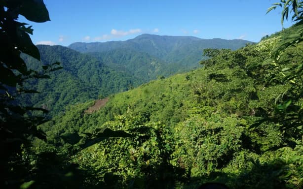 Mt Popomanaseu from it's highest point.