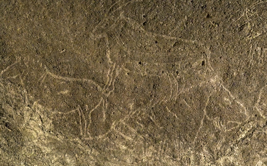 Cave engravings representing horses and goats, in the Armintxe cave in the Basque village of Lekeitio.