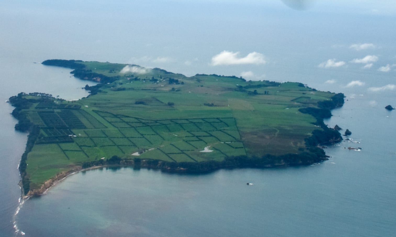Motiti Island, Bay of Plenty (2008)