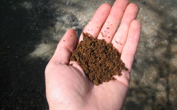 The reddish color of the sandy soil indicates that it is iron rich. This means the soil has good Phosphorus retention capabilities.