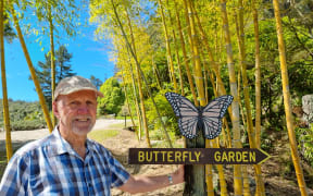Norm Twigge, volunteer in the butterfly garden at Te Puna Quarry Park, Tauranga, said he had never seen butterfly numbers so low.