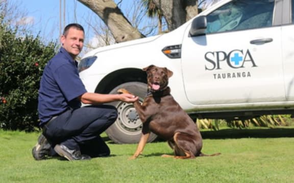 Maggie after her recovery by SPCA.