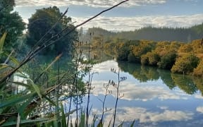 Kennedy discusses a new short film, "Think Like a Forest," which outlines the vision of Recloaking Papatūānuku", an initiative to restore native forest and wetlands.