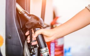 Closeup of woman  hand holding a fuel pump at a station.