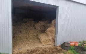 Trudy Keegan's half empty hay barn, about 600 bales have been stolen