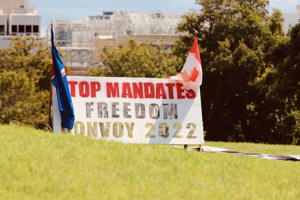 Signs at the Auckland Domain protest camp.