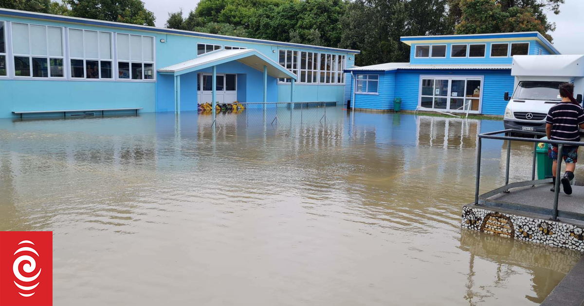 new-fundraising-tool-aims-to-help-schools-rnz