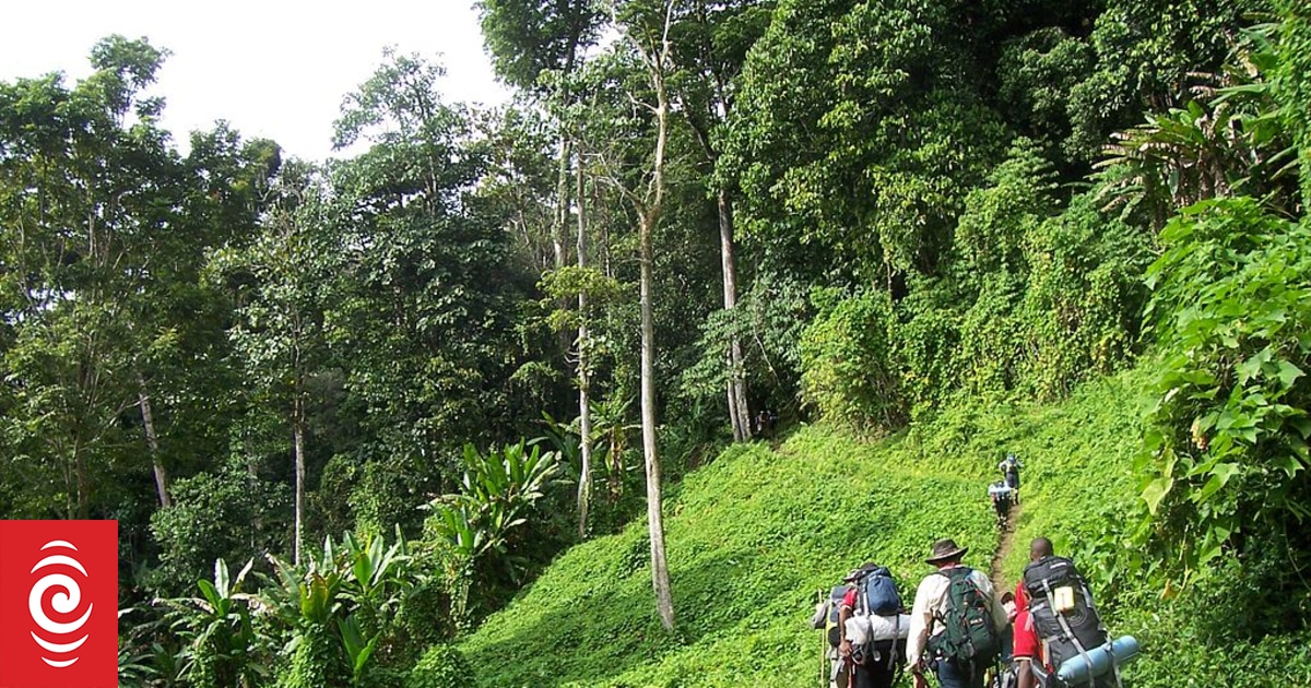 Serseriler Papua Yeni Gine’deki Kokoda Pisti’nde mahsur kalma riskiyle karşı karşıya