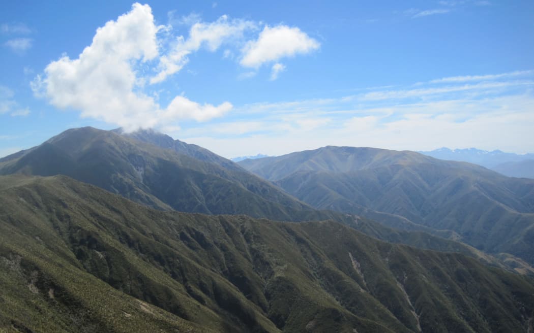 A view of Mt Peel from Little Mt Peel in Canterbury's Peel Forest Park Scenic Reserve.