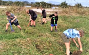 Students plant natives art the Ōpārara Estuary