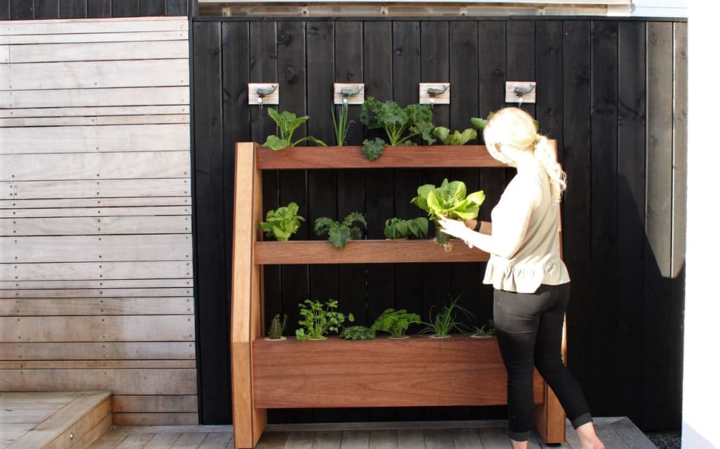 The Living Pantry was created in an effort to connect Aucklanders with their food.